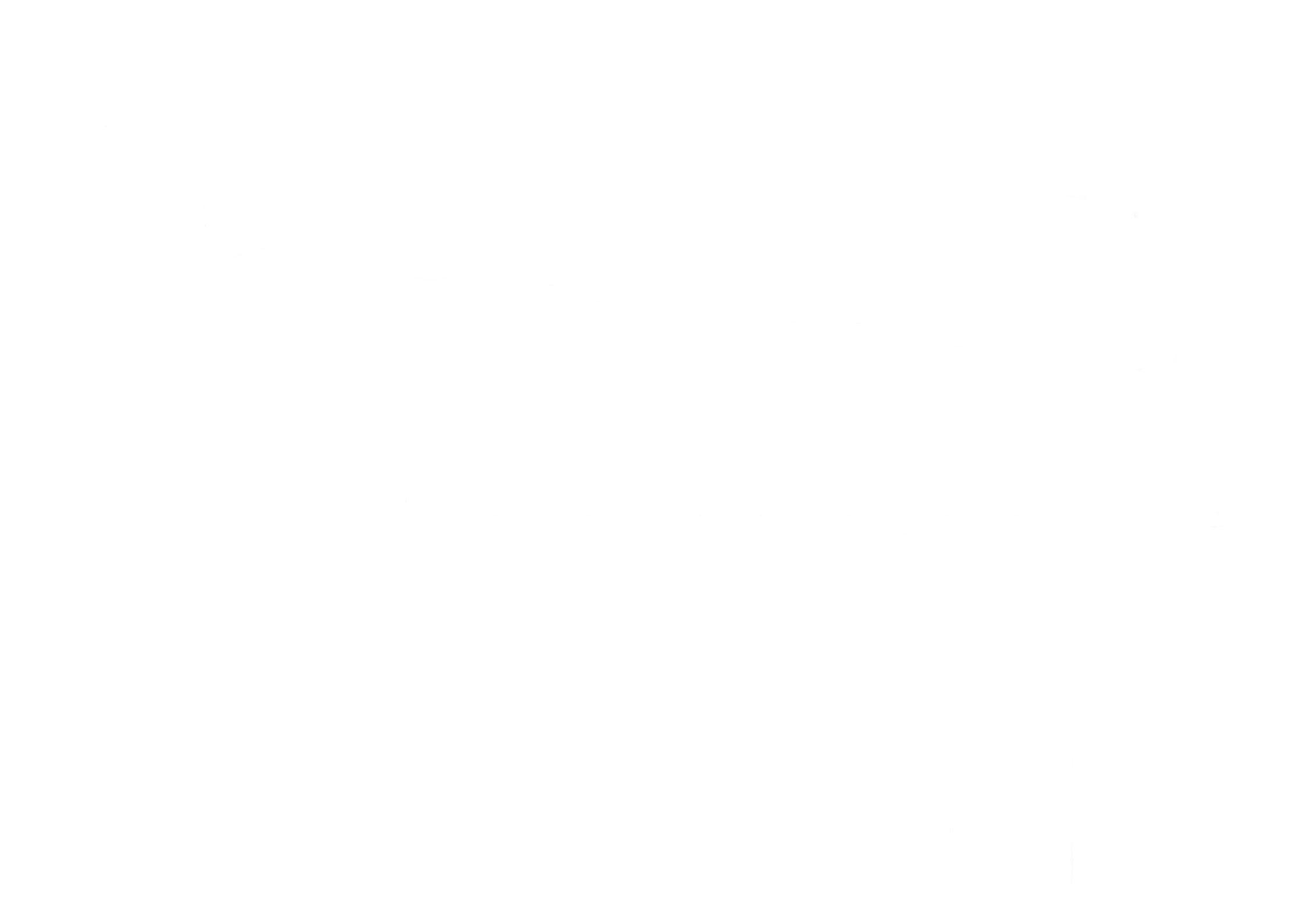 left_wing_white